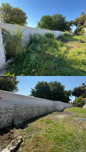 Photo de galerie - Tonte de pelouse - Débroussaillage