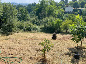 Photo de galerie - Après 