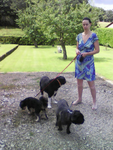 Photo de galerie - C'est moi avec 3 chiens que j'avais emmené en promenade