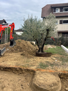 Photo de galerie - Paysagiste - Aménagement du jardin