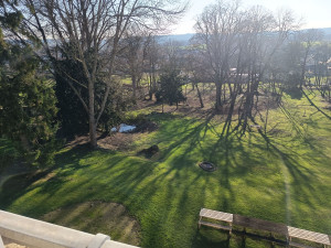 Photo de galerie - Entretien jardin ,tonte pelouse 