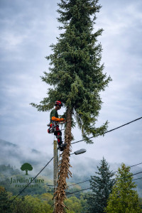 Photo de galerie - Démontage 