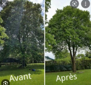 Photo de galerie - Voici le avant après d’une prestation faite 