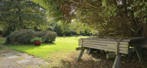 Photo de galerie - Tonte de pelouse 