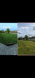 Photo de galerie - Tonte et évacuation des déchets verts 