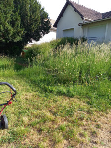 Photo de galerie - Tonte de pelouse - Débroussaillage