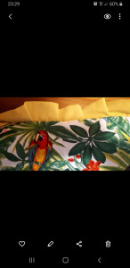 Photo de galerie - Couturière