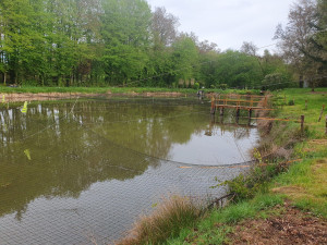 Photo de galerie - Construction d'un ponton de A à Z. 
Installation de filets suspendus sur 1 hectares d'eau 