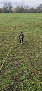 Photo de galerie - Lady toute mignonne en balade :)