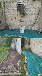 Photo de galerie - Création de massif et béchage d'une partie du jardin 
