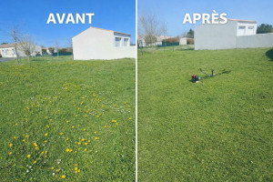 Photo de galerie - Débroussaillage/Tonte de pelouse à Tesson 17460 à peu près 600m². Image avant et après le nettoyage 