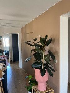 Photo de galerie - Peinture - Tapisserie