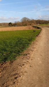 Photo de galerie - Tanie dans les champs