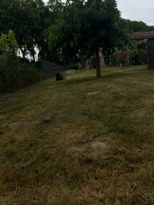 Photo de galerie - Jardinage 