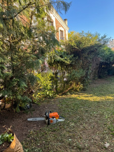 Photo de galerie - Petit, élagage