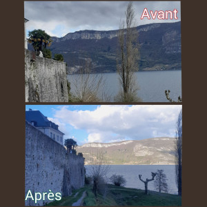 Photo de galerie - Abattage peuplier plus de 20m