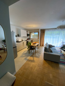 Photo de galerie - Renovation et aménagement du cette belle salon à Châtenay-Malabry 