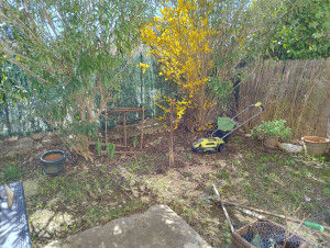 Photo de galerie - Paysagiste - Aménagement du jardin