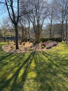 Photo de galerie - Remise en état des massifs 