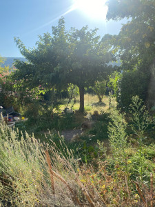 Photo de galerie - Jardinier