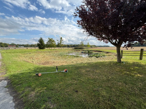 Photo de galerie - Broyage d’une marre 