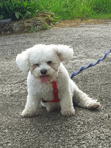 Photo de galerie - Zen en garde