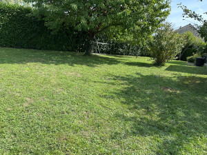 Photo de galerie - Tonte pelouse 