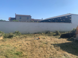 Photo de galerie - Tonte de pelouse ( toutes surfaces ) Passage de la débroussailleuse ( fils ou lame broyeuse ) 