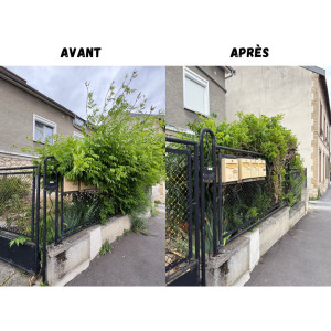 Photo de galerie - Taille d’une haie régulière pour éviter qu’elle ne déborde sur la trottoirs mais aussi pour avoir un accès au boîte aux lettres