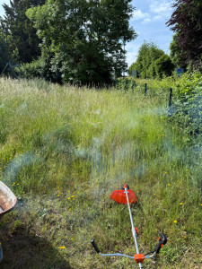 Photo de galerie - Tonte de pelouse - Débroussaillage