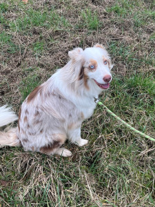 Photo de galerie - La jolie Tattooine