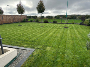 Photo de galerie - Tonte de pelouse - Débroussaillage