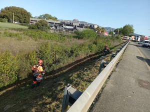 Photo de galerie - Débroussaillage à lame 