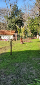 Photo de galerie - Paysagiste - Aménagement du jardin