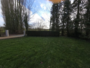 Photo de galerie - Taille de haie 