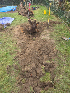 Photo de galerie - Désouchage manuel 2