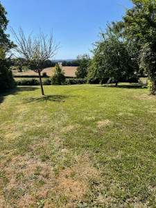 Photo de galerie - Tonte d’un terrain de 1000 m2