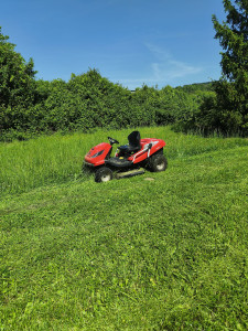 Photo de galerie - Herbe grasse Estillac 