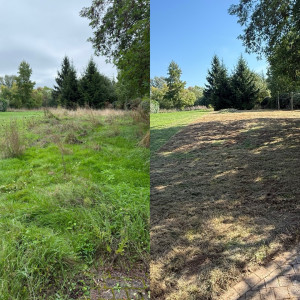 Photo de galerie - Tonte de pelouse - Débroussaillage
