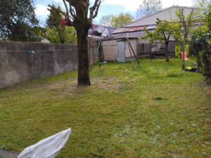 Photo de galerie - Tondeuse élagage