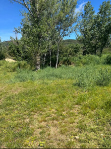 Photo de galerie - Tonte de pelouse - Débroussaillage