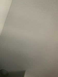 Photo de galerie - Oui 