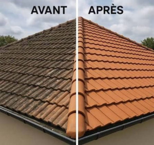 Photo de galerie - Avant / après 