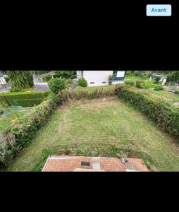 Photo de galerie - Elagage et coupe d'arbres