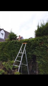 Photo de galerie - Paysagiste - Aménagement du jardin