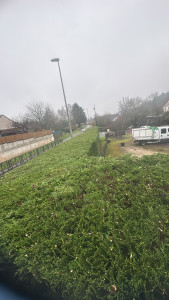 Photo de galerie - Jardinier, paysagiste et élagage et abattage