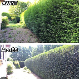Photo de galerie - Voici le travail bon boulot