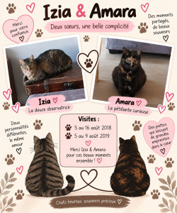 Photo de galerie - Garde chat