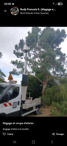 Photo de galerie - élagage arbre a la nacelle 