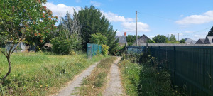 Photo de galerie - Débroussaillage le matin 